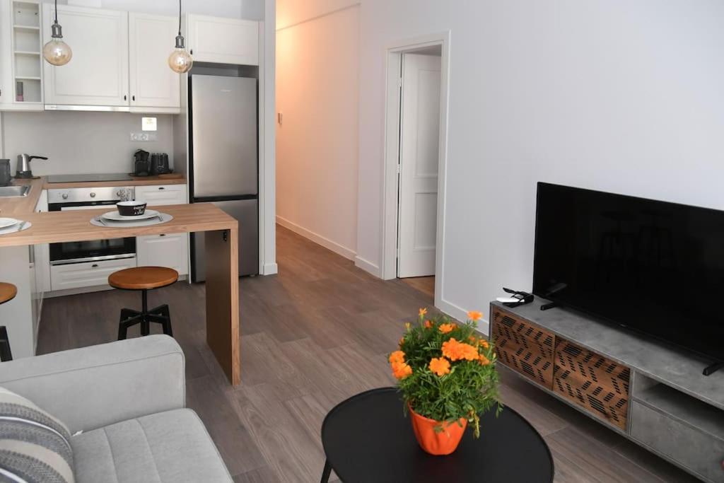Modern Apartment In Ipitou, Plaka Atény Exteriér fotografie